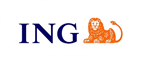 ING Solutions Investment Management